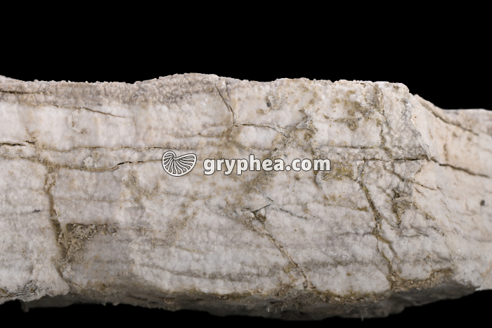 Gypse - détail (Col du Galibier, Alpes) - gryphea.org